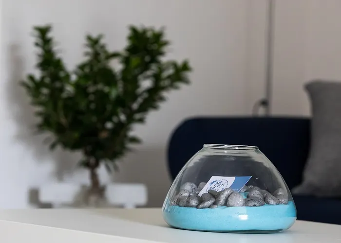 Moi Moi * ラクイラ